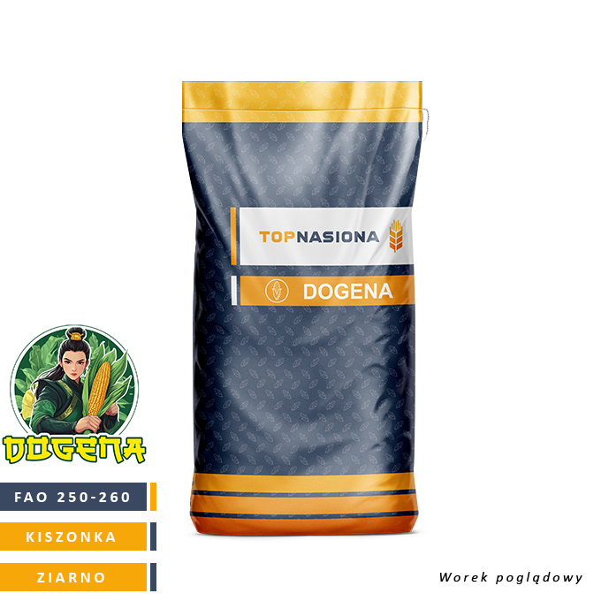 KUKURYDZA DOGENA FAO 250-260 JS. 50 TYŚ. NASION