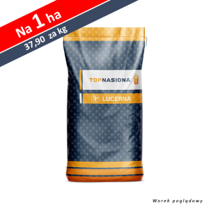 Nasiona Lucerna TOP DUO ALFA 20 kg
