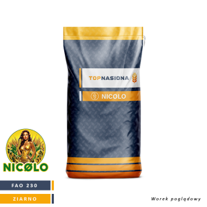 KUKURYDZA NICOLO FAO 230 JS. 50 TYŚ. NASION