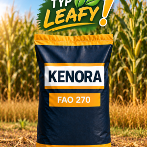 KUKURYDZA KENORA FAO 270 JS. 50 TYŚ. NASION