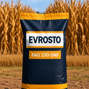 KUKURYDZA EVROSTO FAO 230-240 JS. 50 TYŚ. NASION