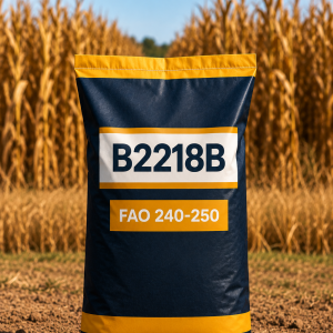 KUKURYDZA B 2218 B.Li FAO 240-250 JS. 50 TYŚ. NASION