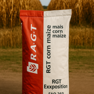 KUKURYDZA RGT EXXPOSITION C1 FAO 260 JS. 80 TYŚ. NASION