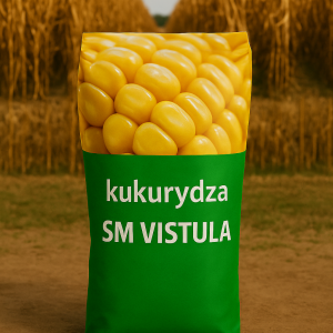 KUKURYDZA SM VISTULA C1 FAO 210-220 JS. 50 TYŚ. NASION